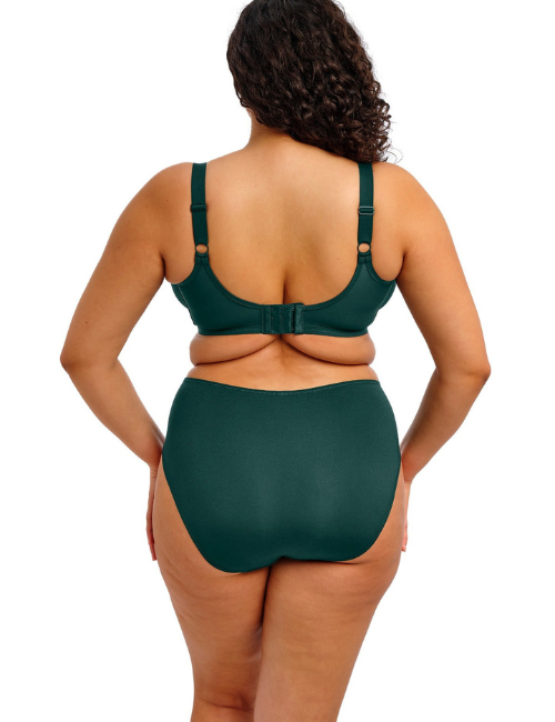 Elomi - Style: EL4301 Smooth - Image 9